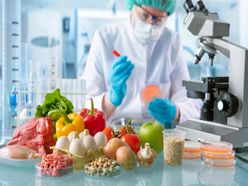 نکات کلیدی در ترجمه متون صنایع غذایی